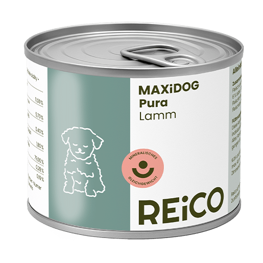 Reico Maxidog Agnello